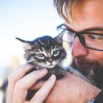 Caring For Your Emotional Support Cat