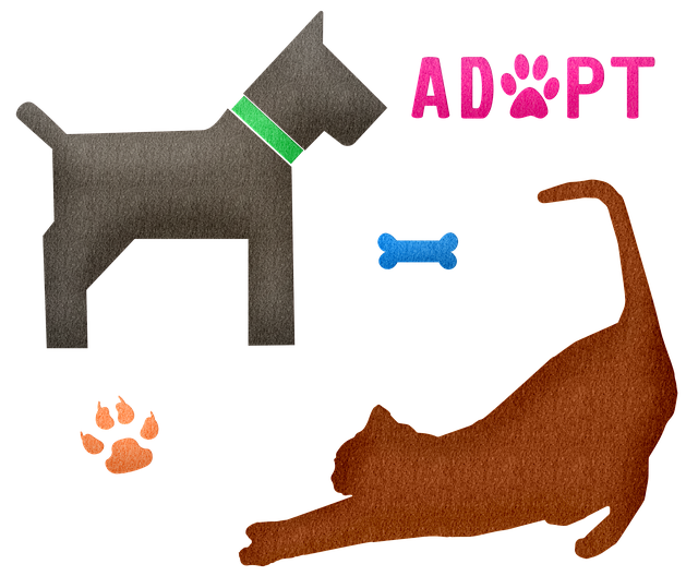Dog Where To Adopt
