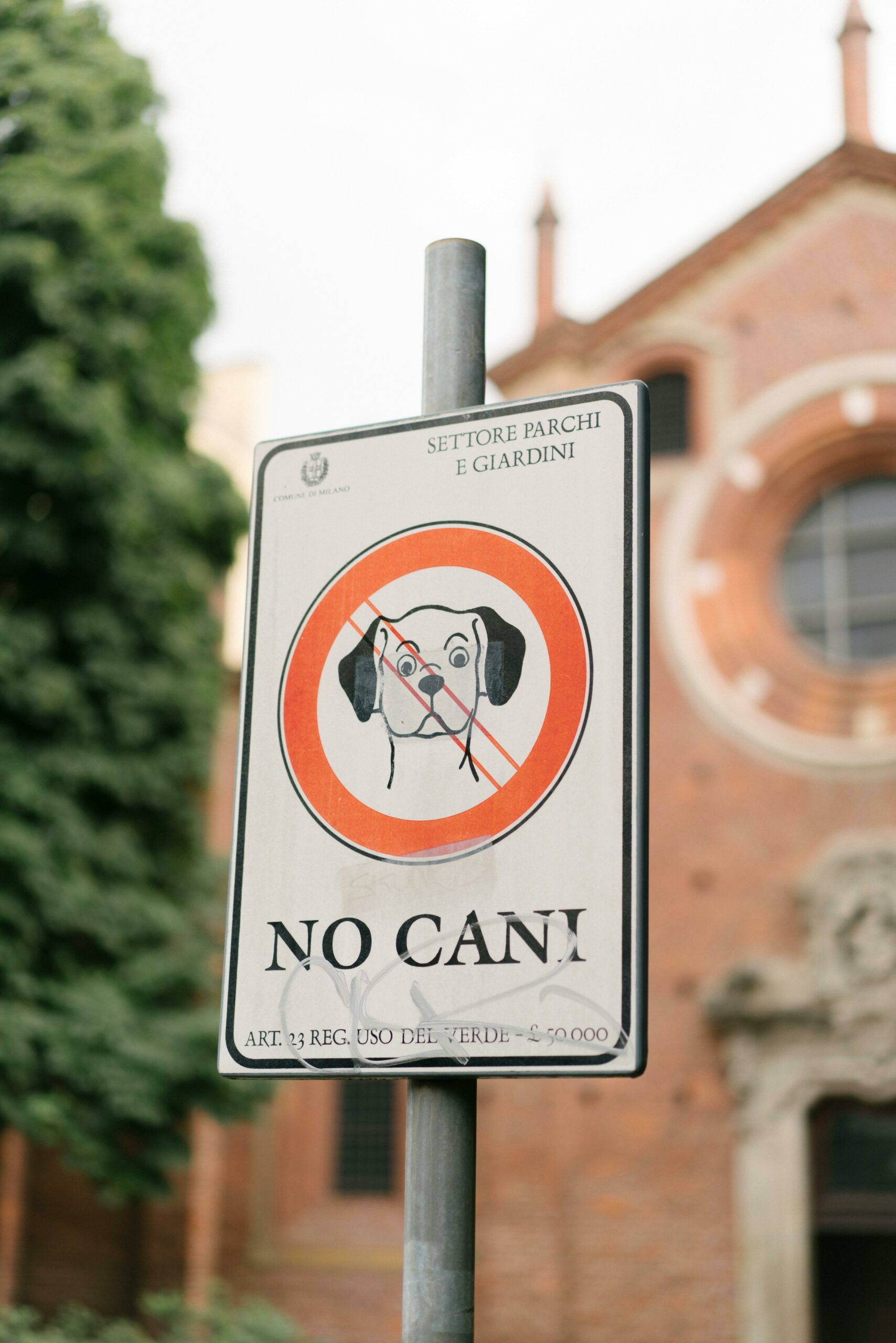 Dog Recognizing Danger Signs
