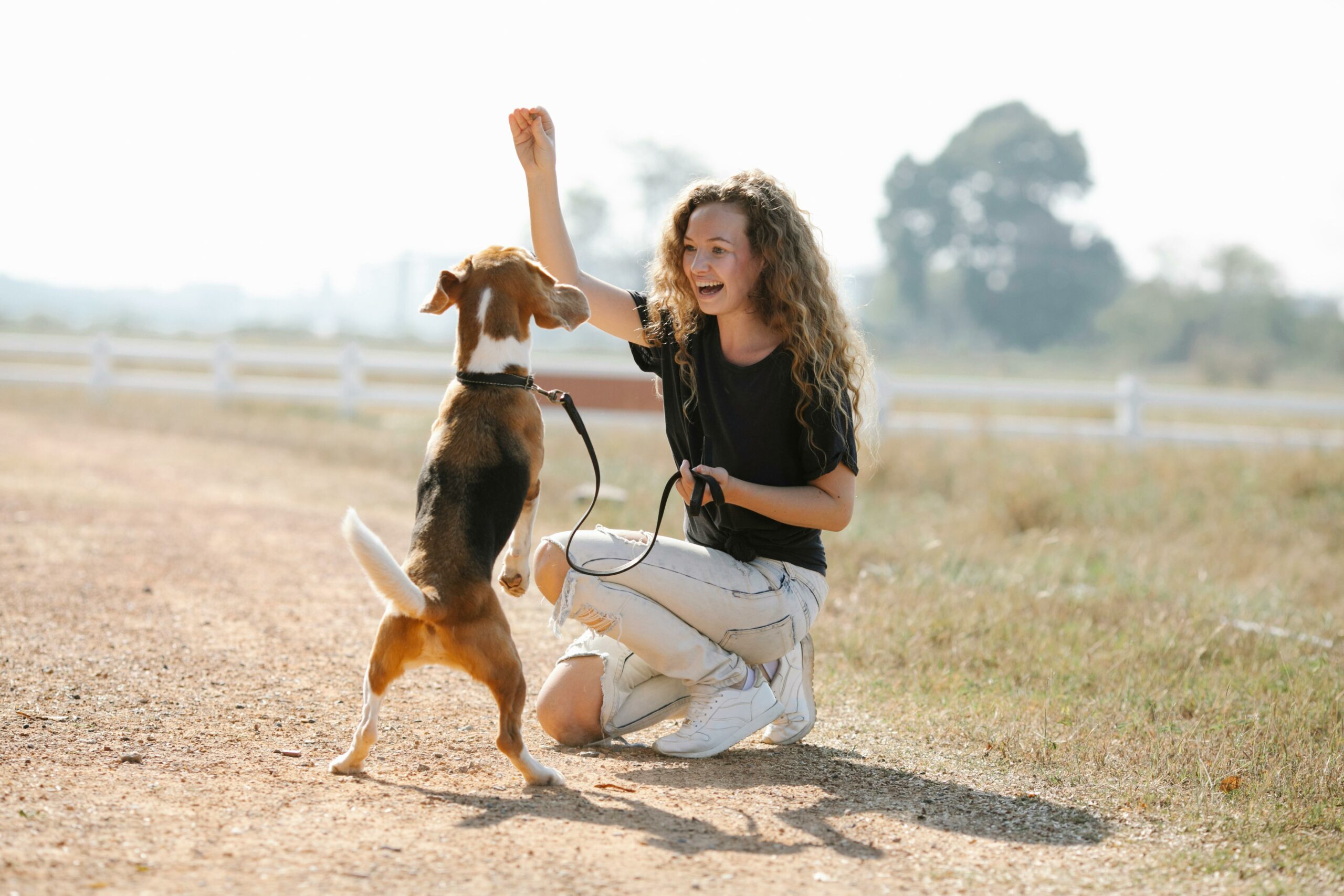 Dog Training With Positive Reinforcement