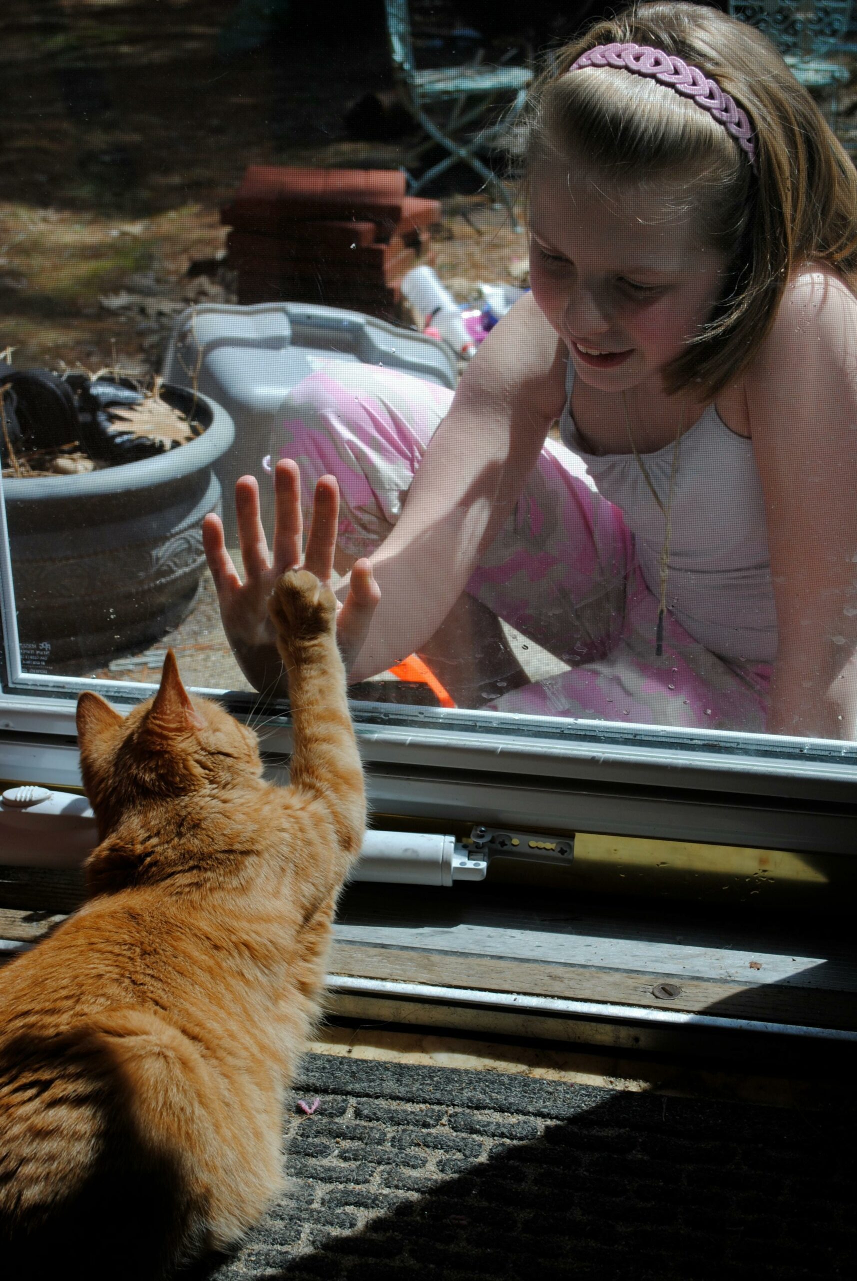 The Bond Between Child And Cat